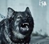 ESA – That Beast (CD-Kritik)